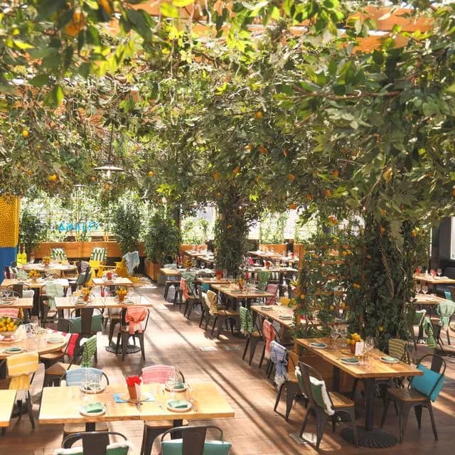 Eataly NYC Flatiron - AMALFI Rooftop by Birreria Restaurant - New York ...