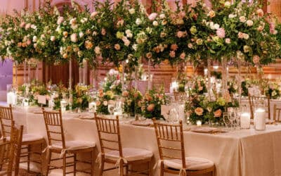 Alinato Events photo 4