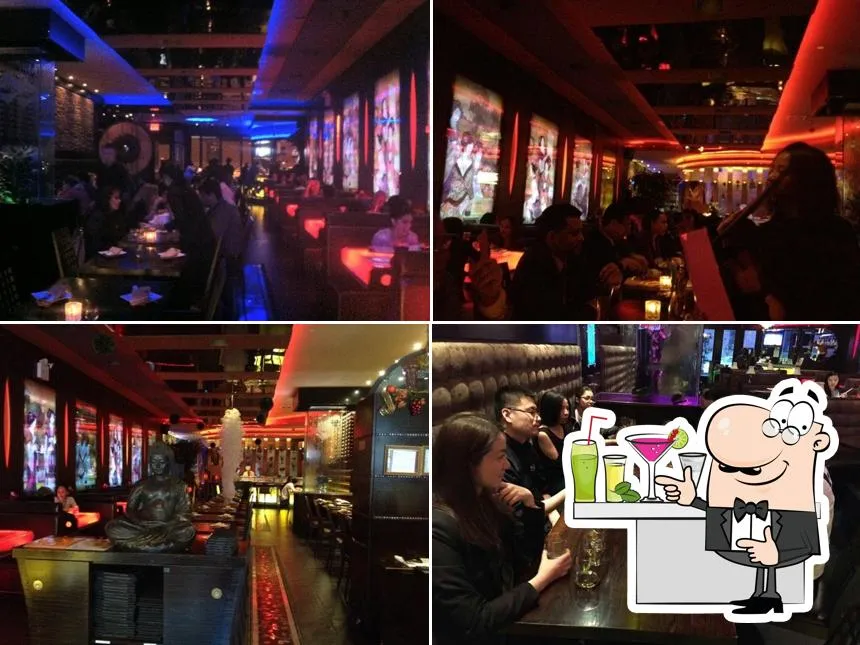 MoCA Asian Bistro photo 4