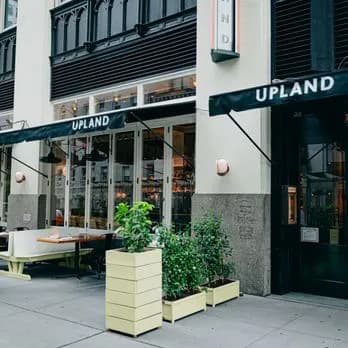 Upland photo 2
