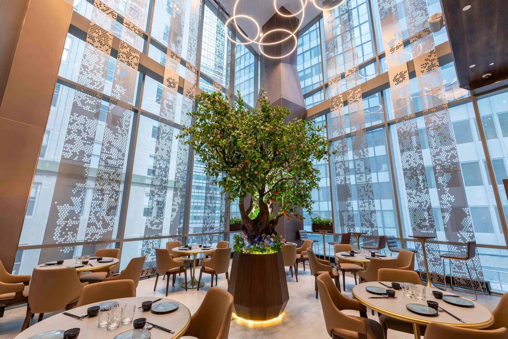 YAO Modern Cantonese Cuisine photo 2