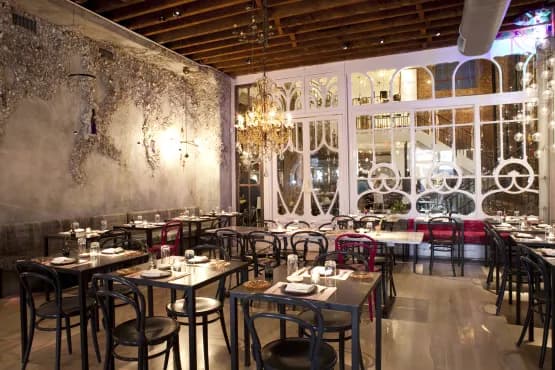 abc cocina photo 4